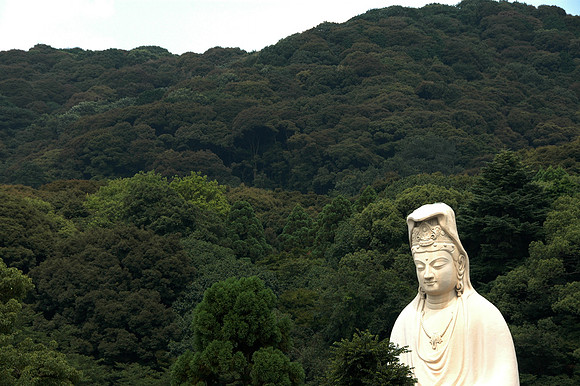 Buddha in the woods